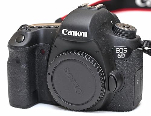 20.2 MP DSLR Camera Body (Renewed) N303
