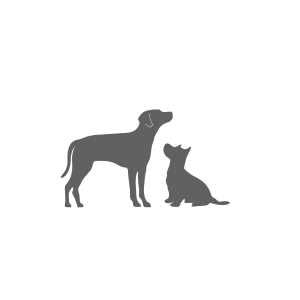 Dog Collar S122644