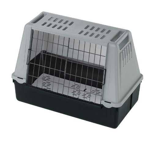 Dog Car B964338