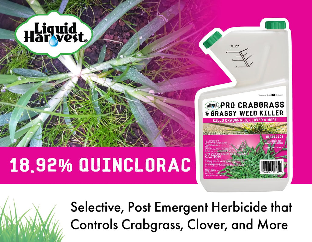 32 ounces Concentrated Crabgrass Herbicide with Quinclorac A9196