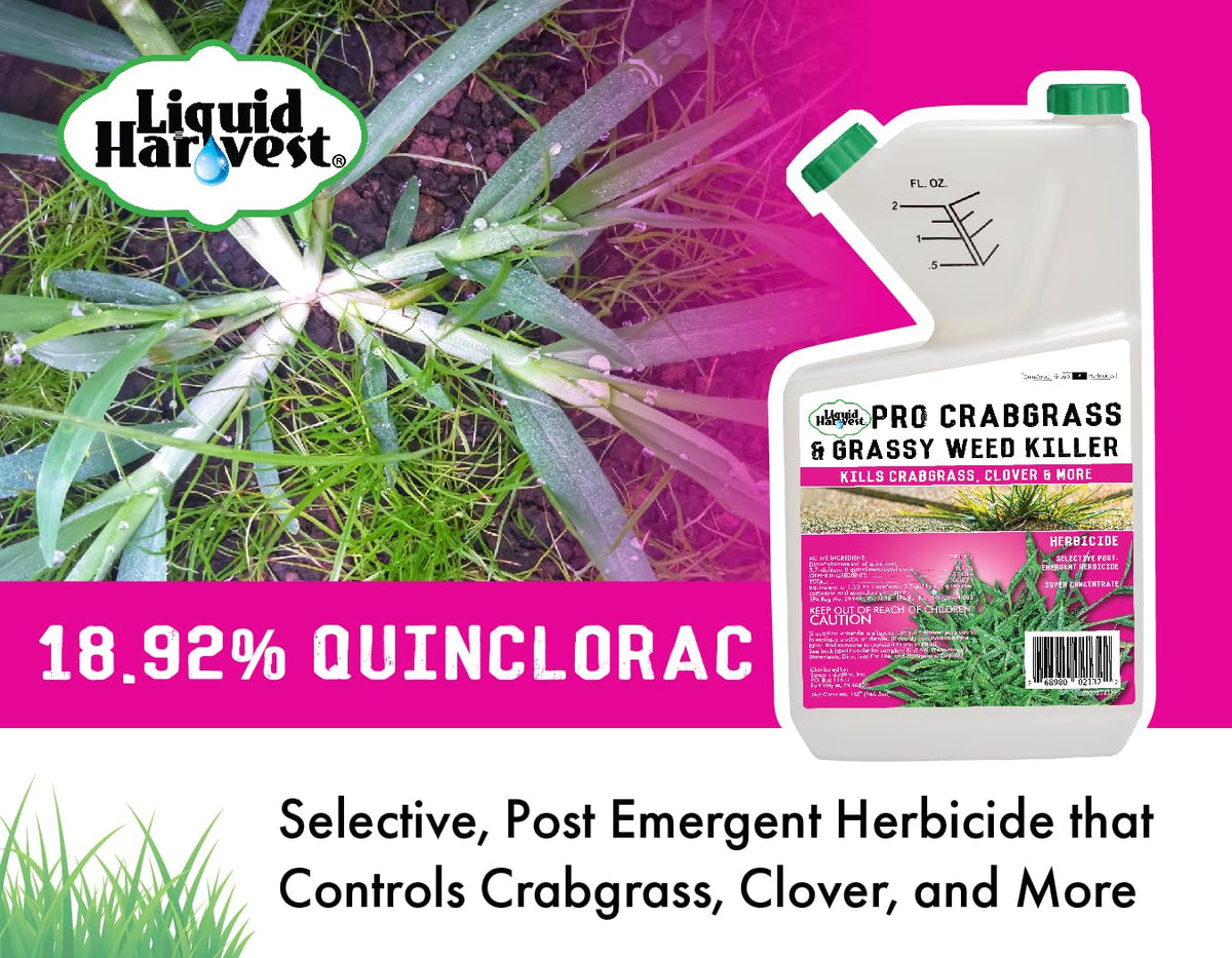 32 ounces Concentrated Crabgrass Herbicide with Quinclorac A9196