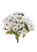 24 Pc White Mini Daisy Bush I90837