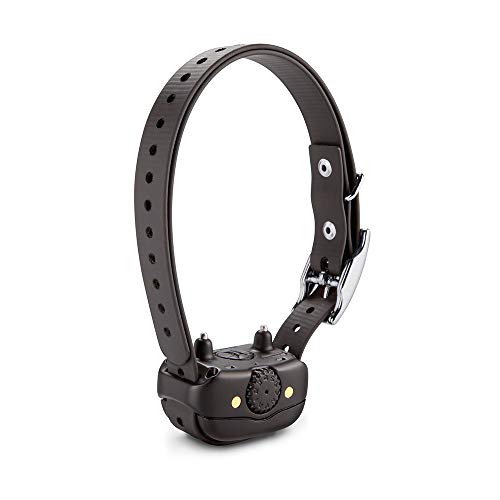 Rechargeable Dog Training Collar V1309