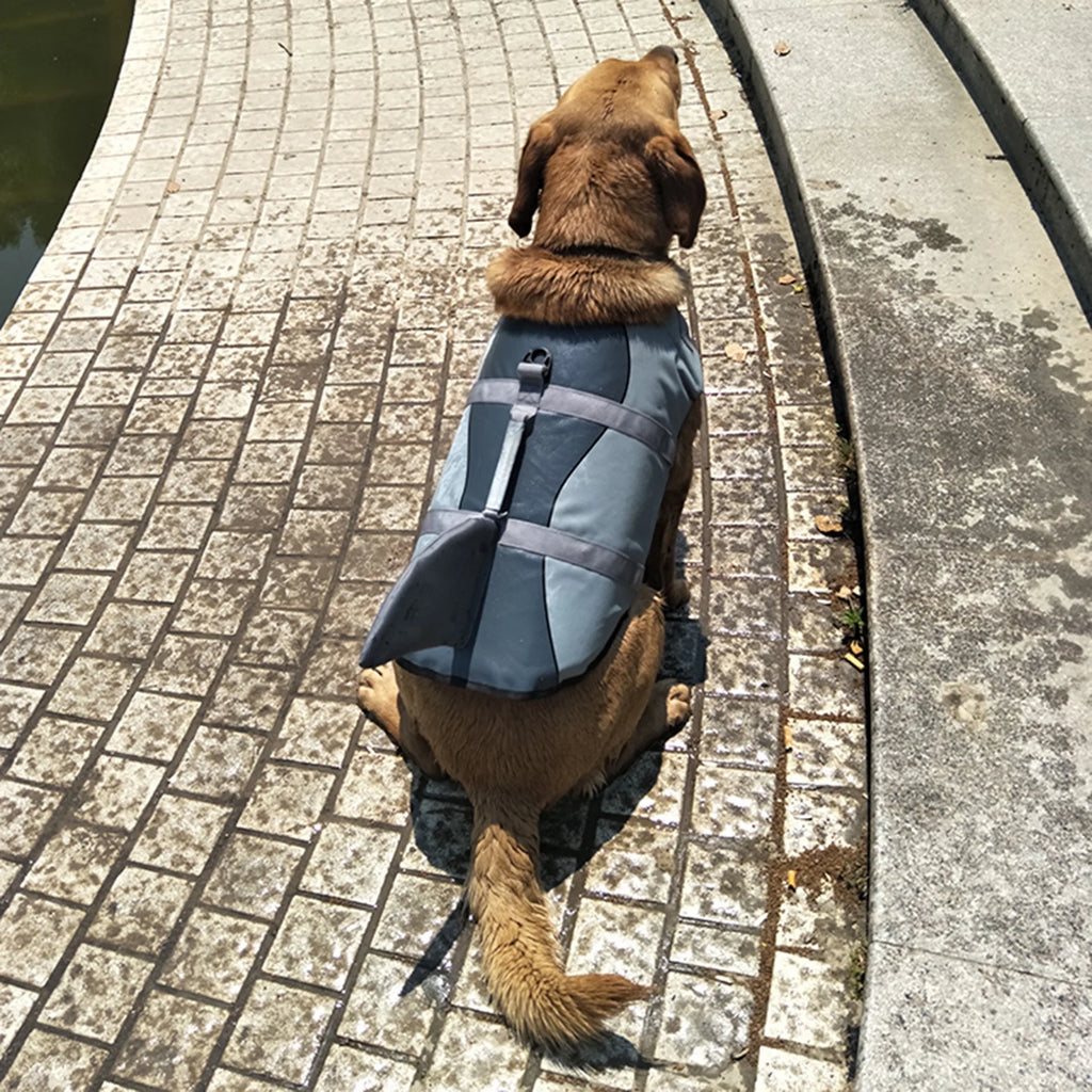Dog Pet Shark Swimsuit Vest Safety Wear I4538