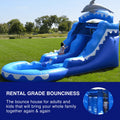 Dolphin Commercial Grade Water Slide with Pool N997