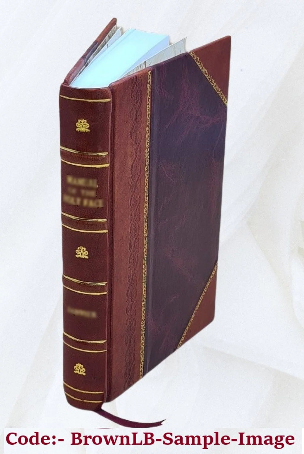Historical Novel A132636