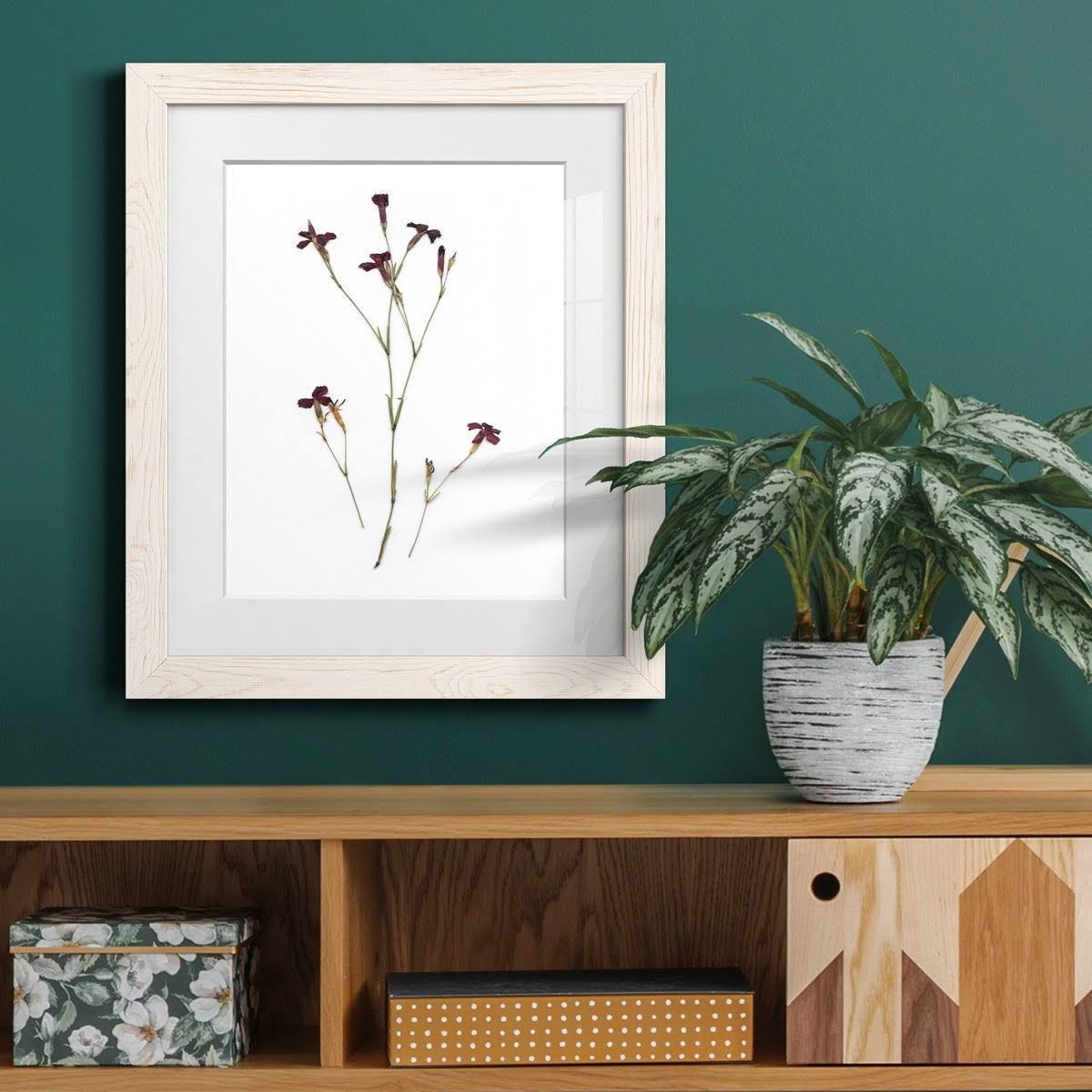 Maple Framed Print N4192