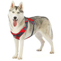Adjustable Dog Harness with Pockets P2951