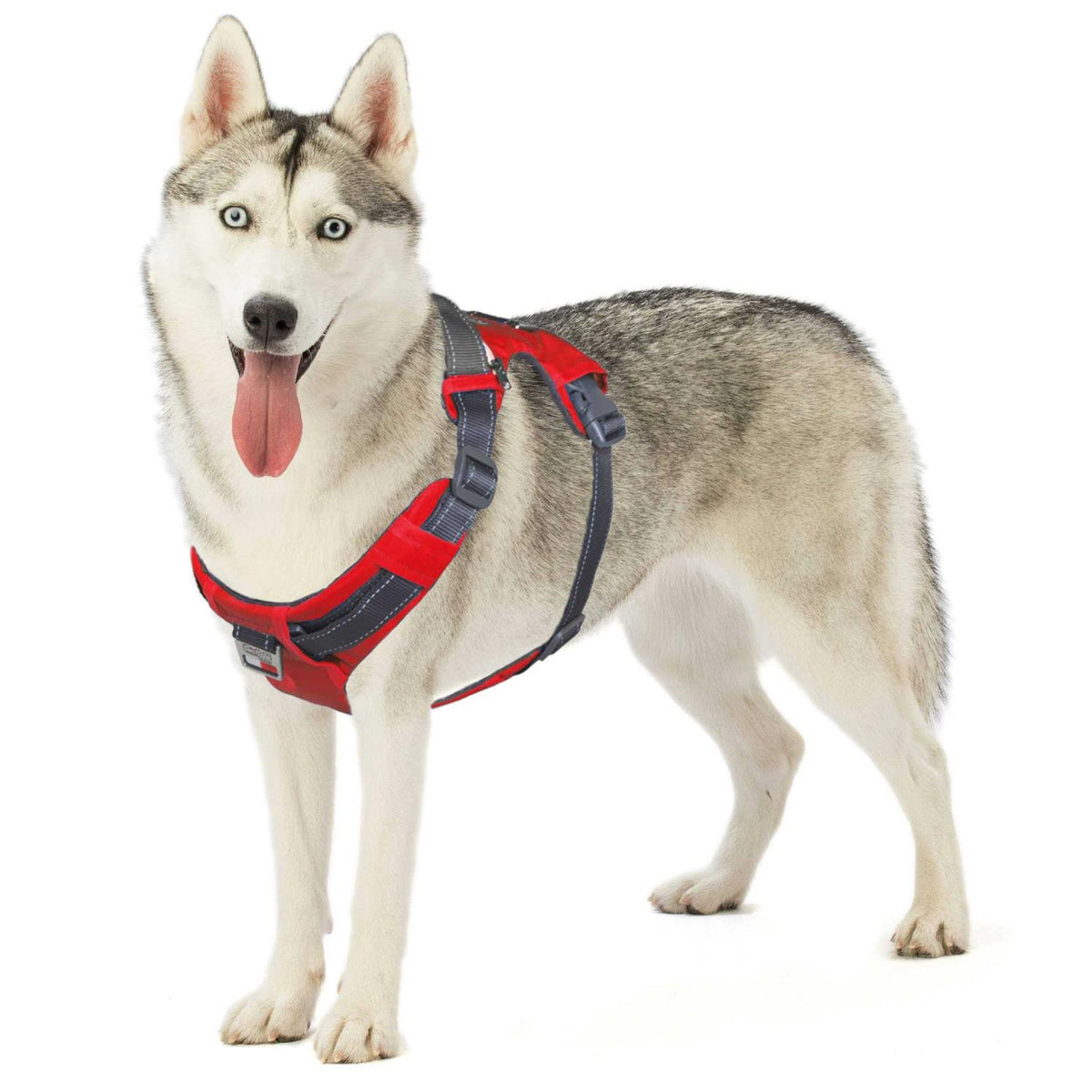 Adjustable Dog Harness with Pockets P2951