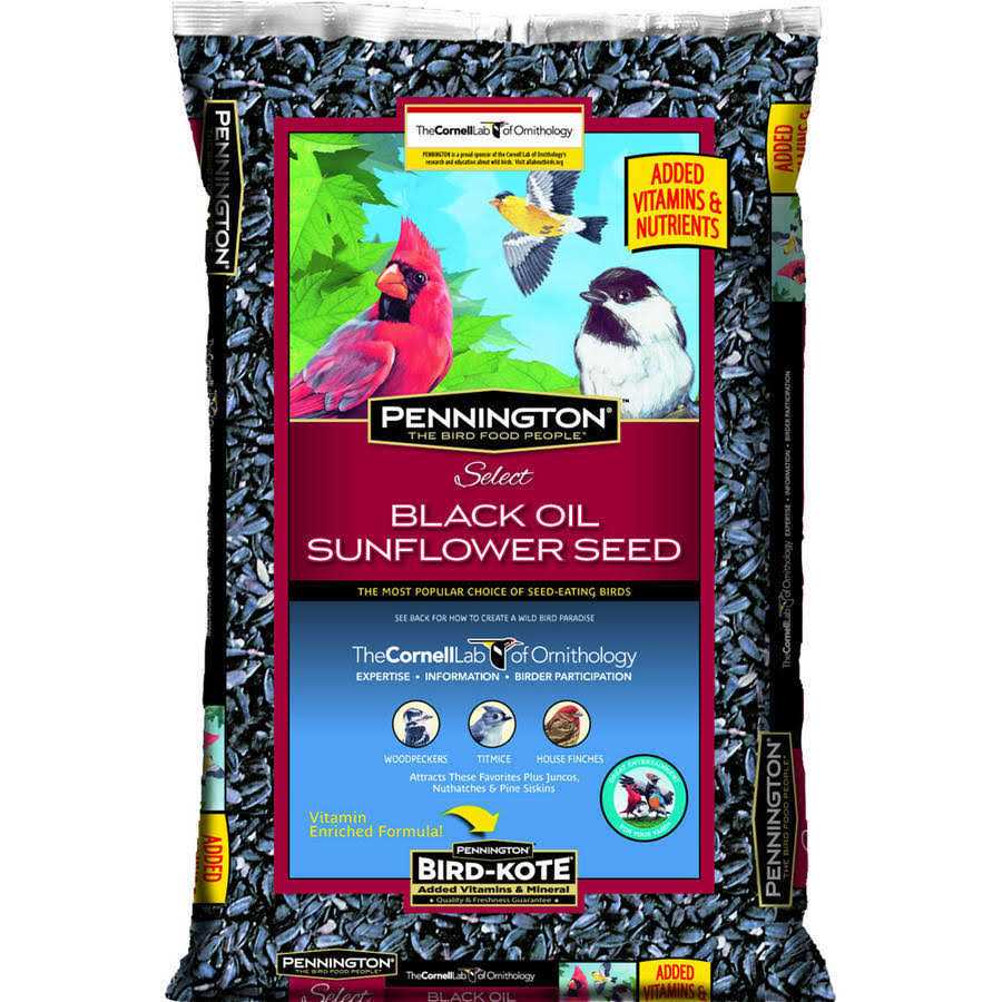 Black Oil Sunflower Seed Wild Bird Feed U976