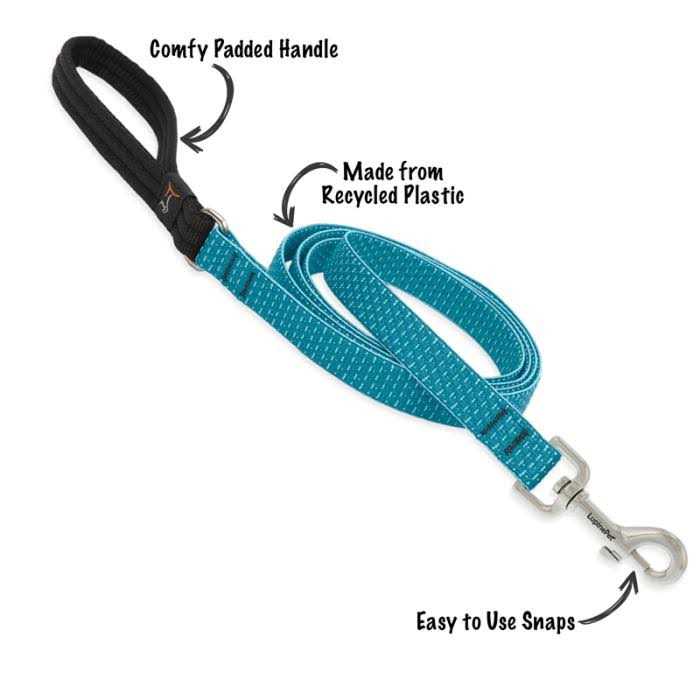 Dog Collar S122644