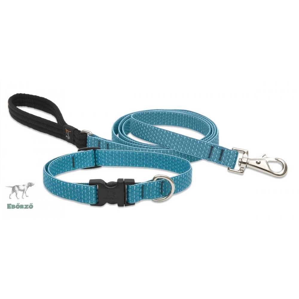 Dog Collar S122644