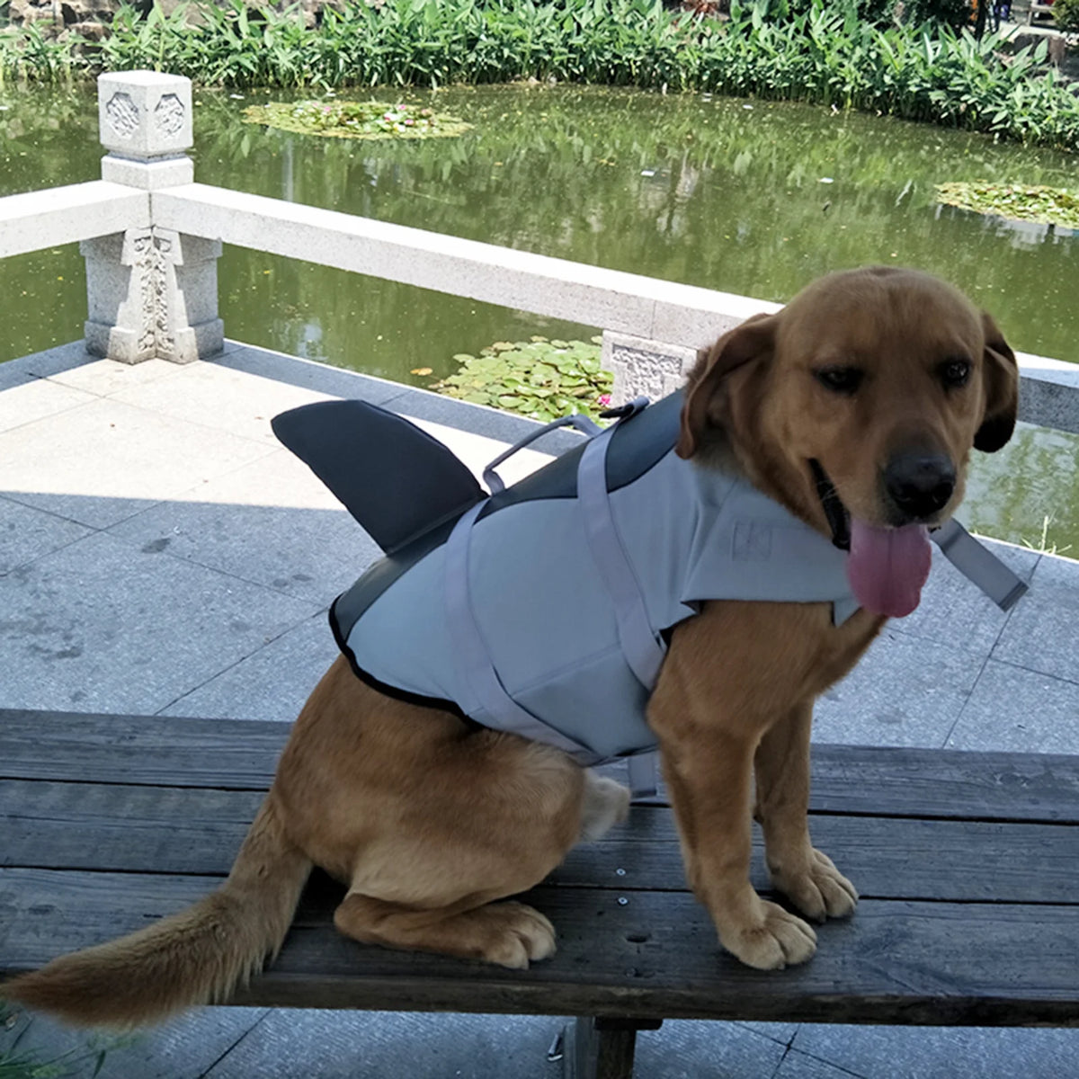 Dog Pet Shark Swimsuit Vest Safety Wear I4538