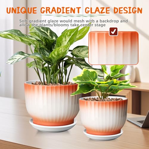 Blue White Ceramic Plant Pots Set of 2 N21452
