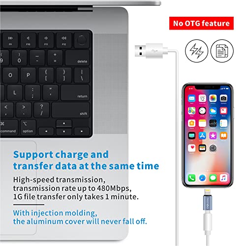 Lightning to USB C Adapter R223