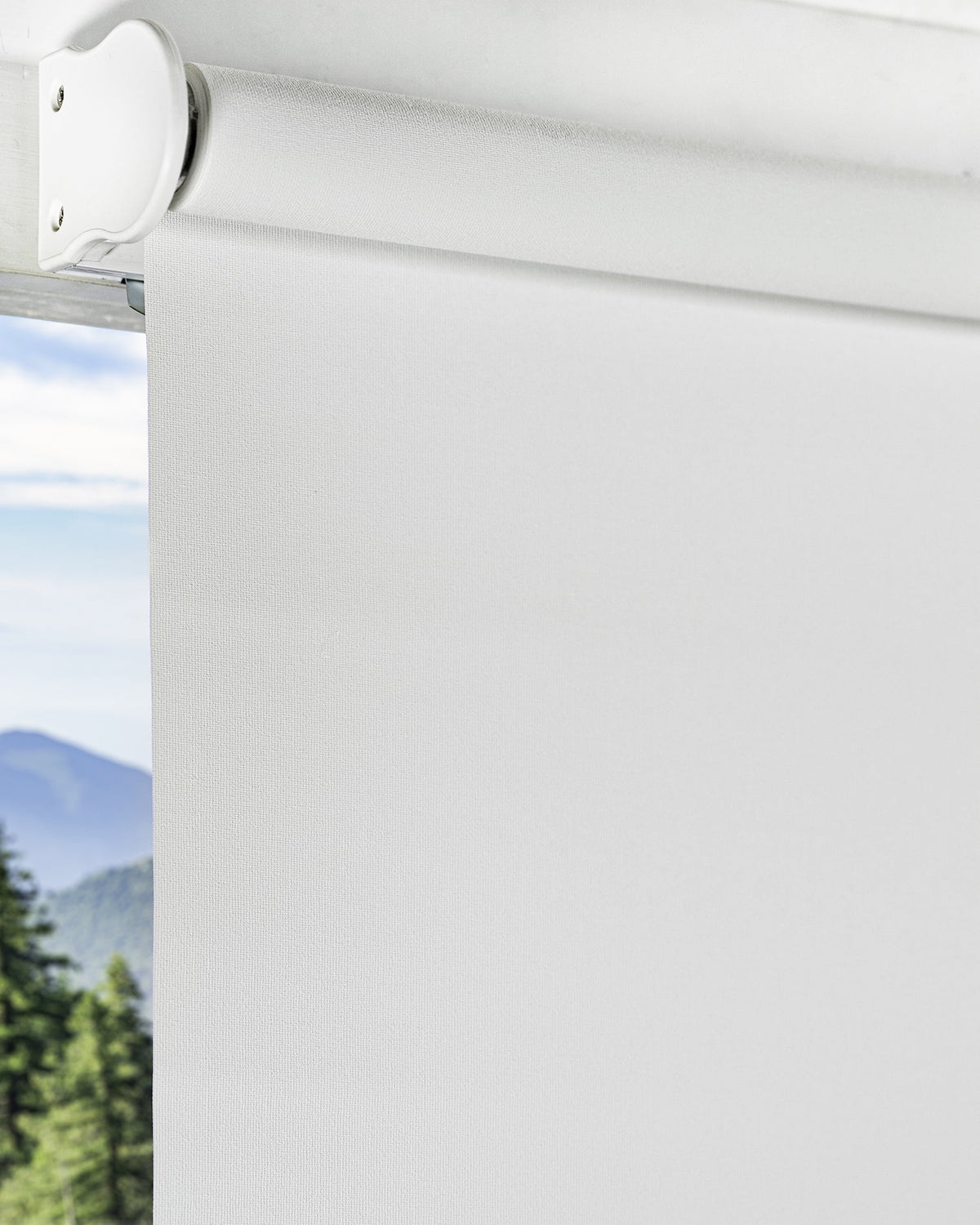 Cordless Roller Shade Blackout 23"W X 72"H R455