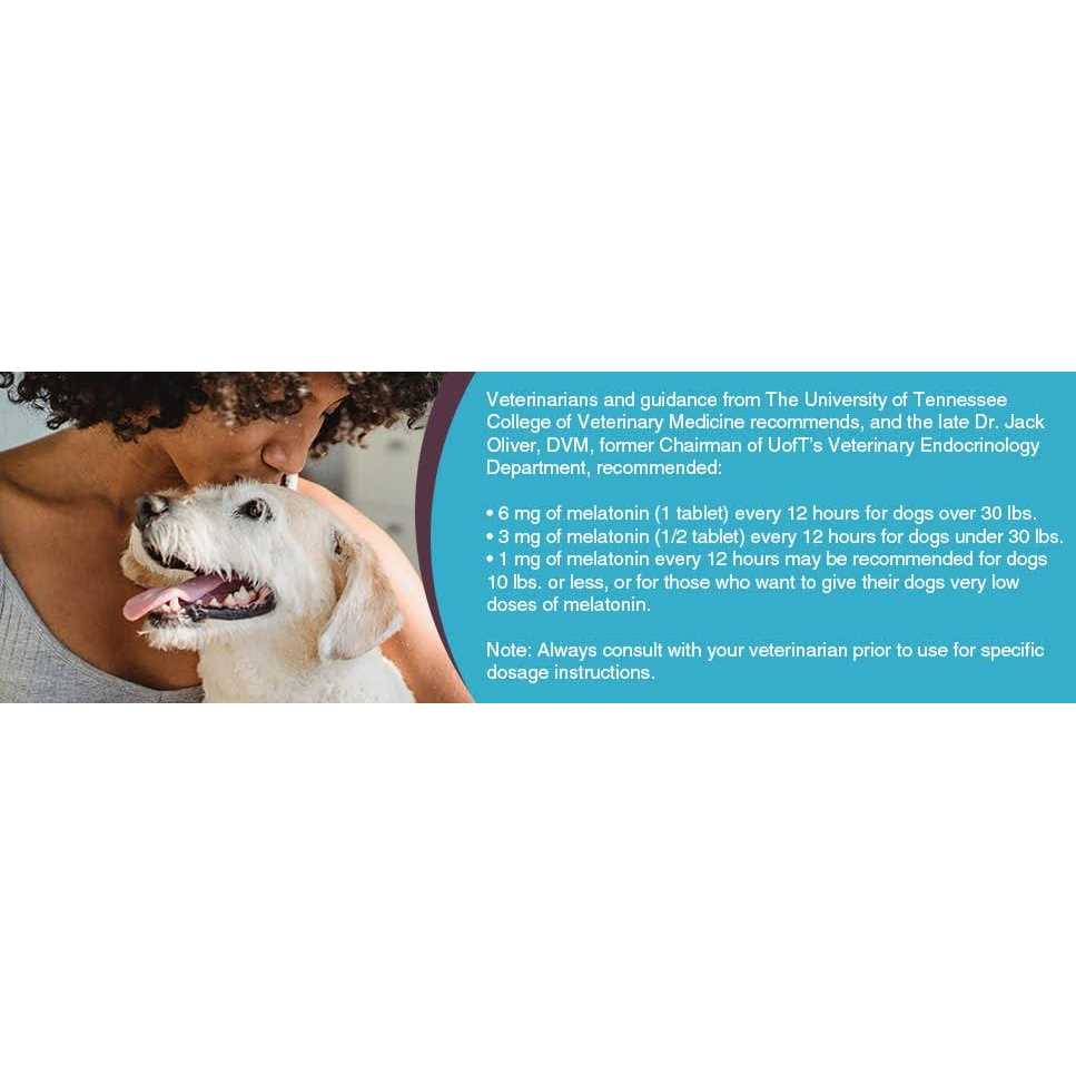 Melatonin for Small Dogs 1mg Y493665