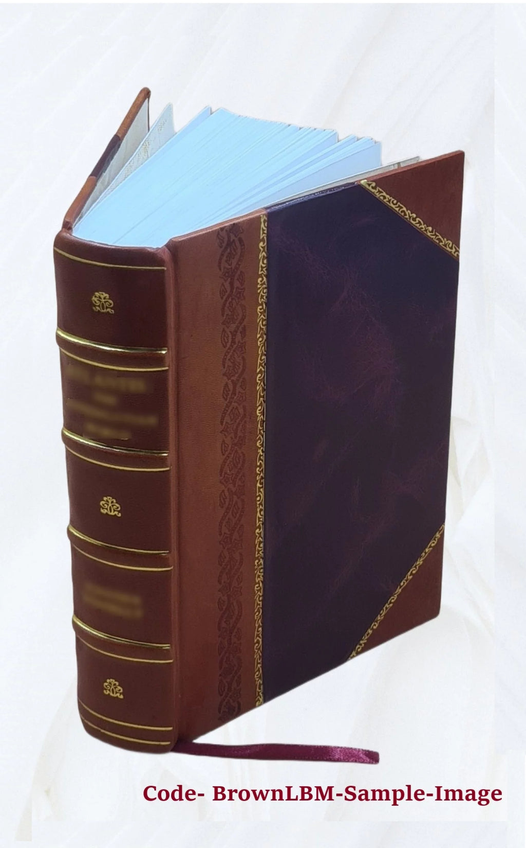 Leather Bound Furniture and Furnishings K1349