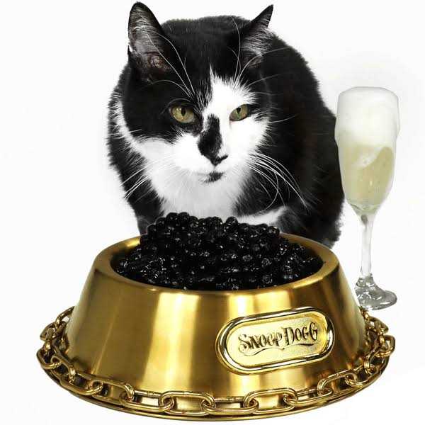 Pet Bowl U4610