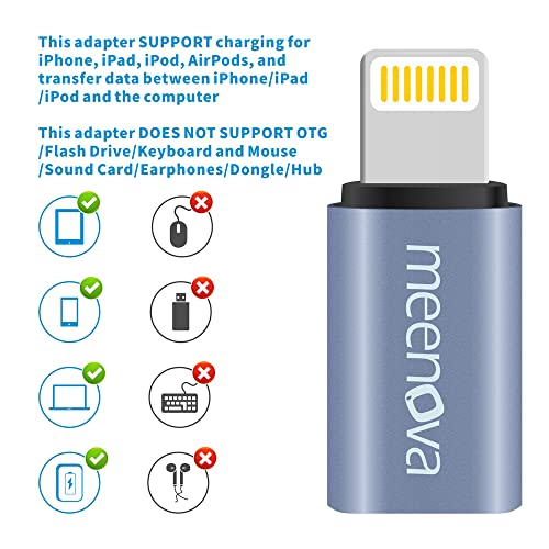 Lightning to USB C Adapter R223