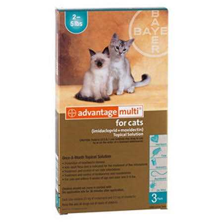 Cat Supplies B7516