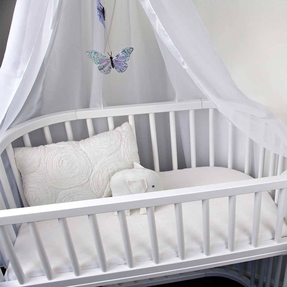 Canopy Blue/White T558242