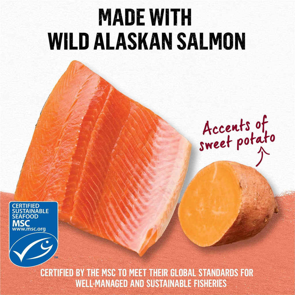 Grain Free Salmon & Sweet Potato Cat Food M475812
