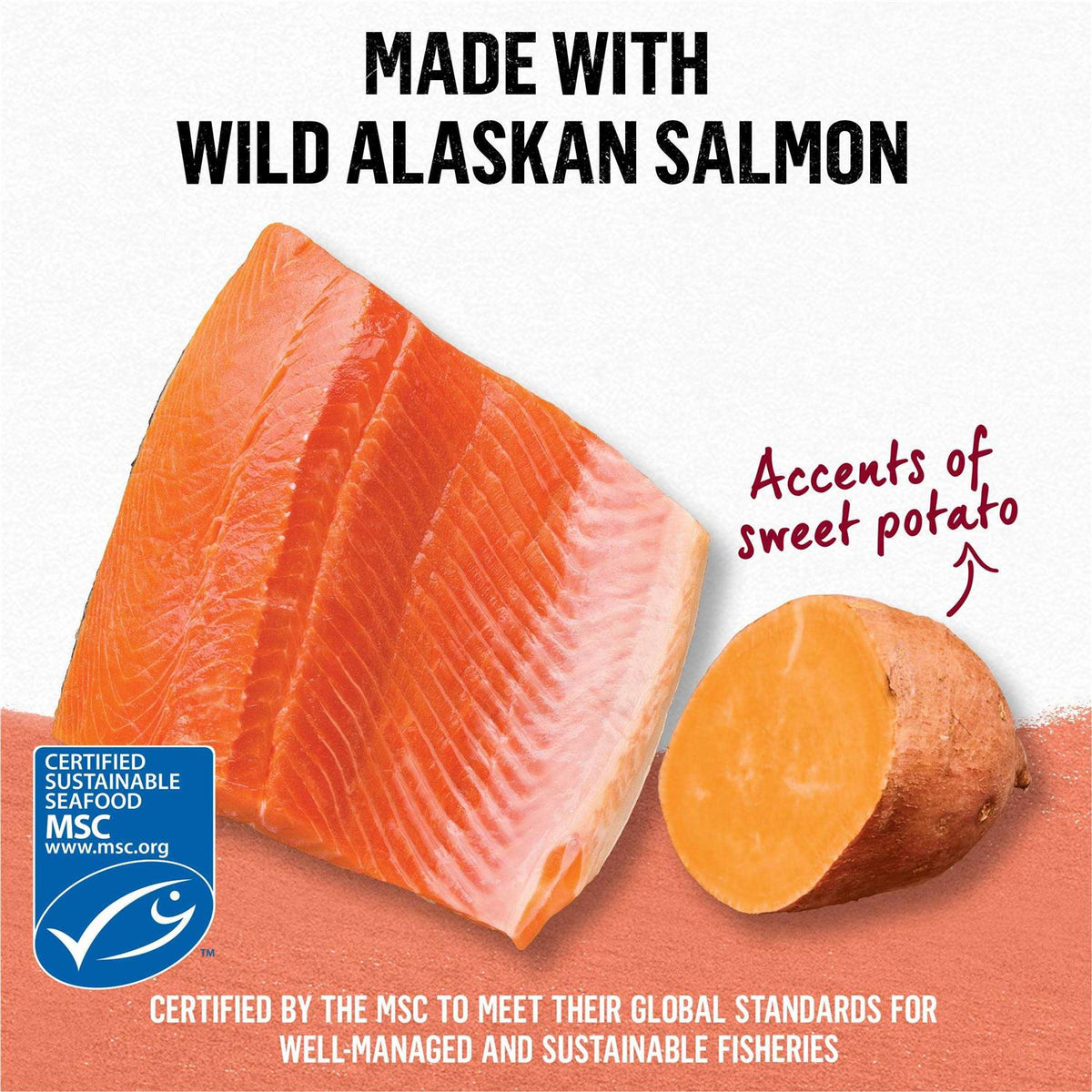 Grain Free Salmon & Sweet Potato Cat Food M475812