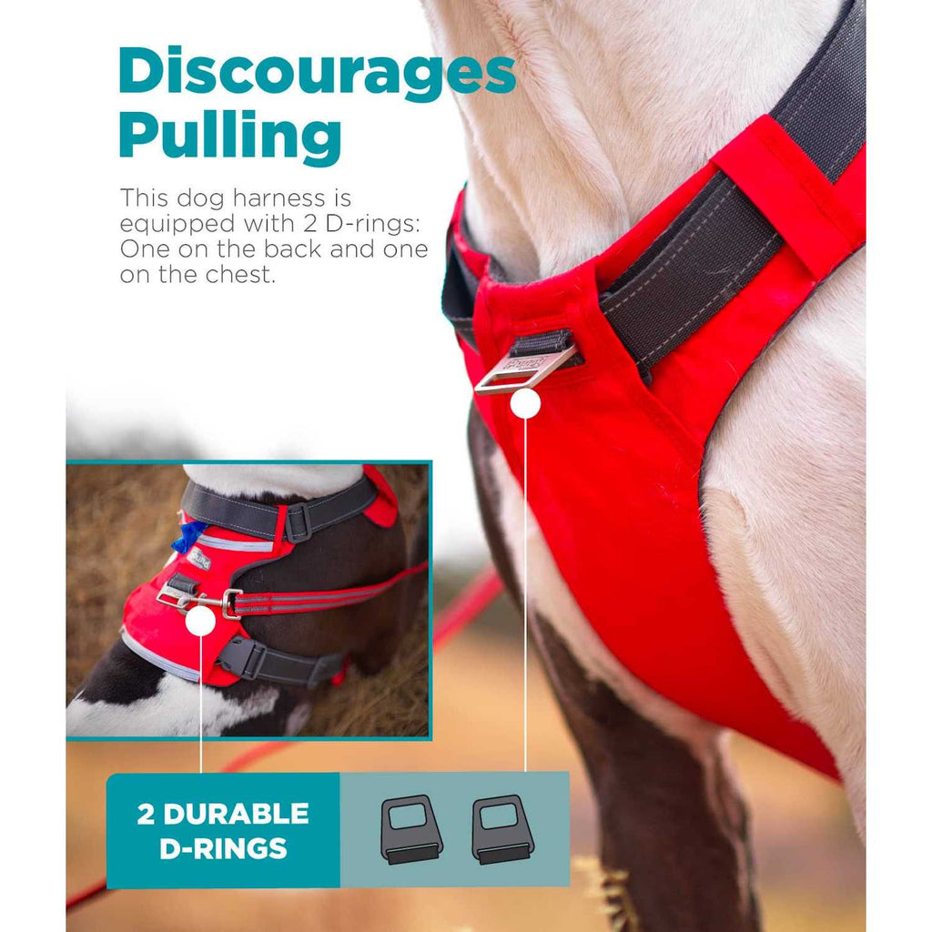 Adjustable Dog Harness with Pockets P2951