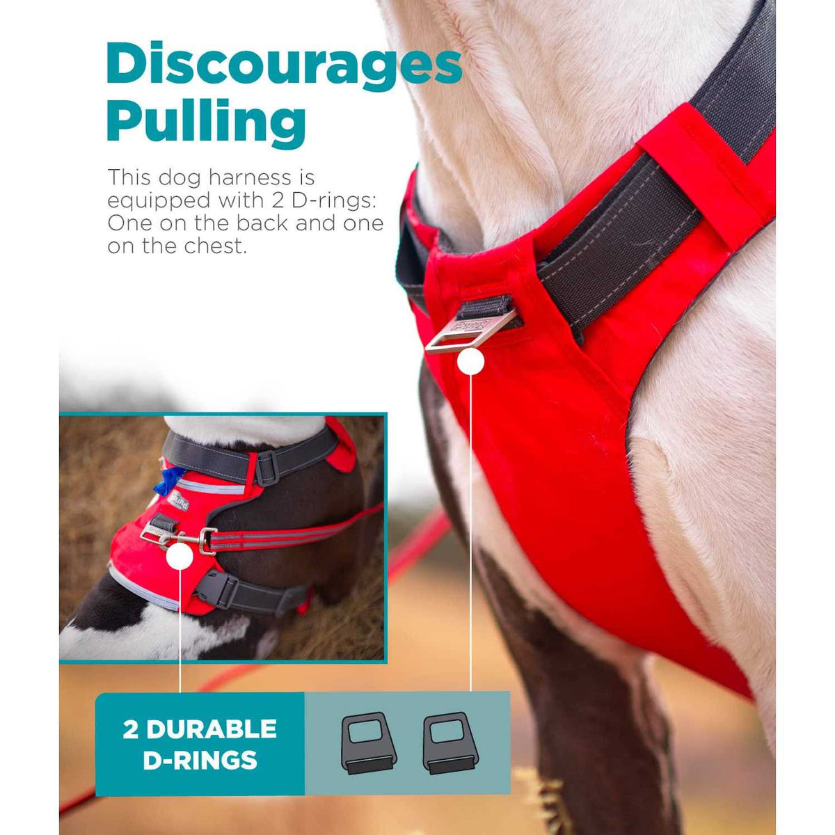 Adjustable Dog Harness with Pockets P2951