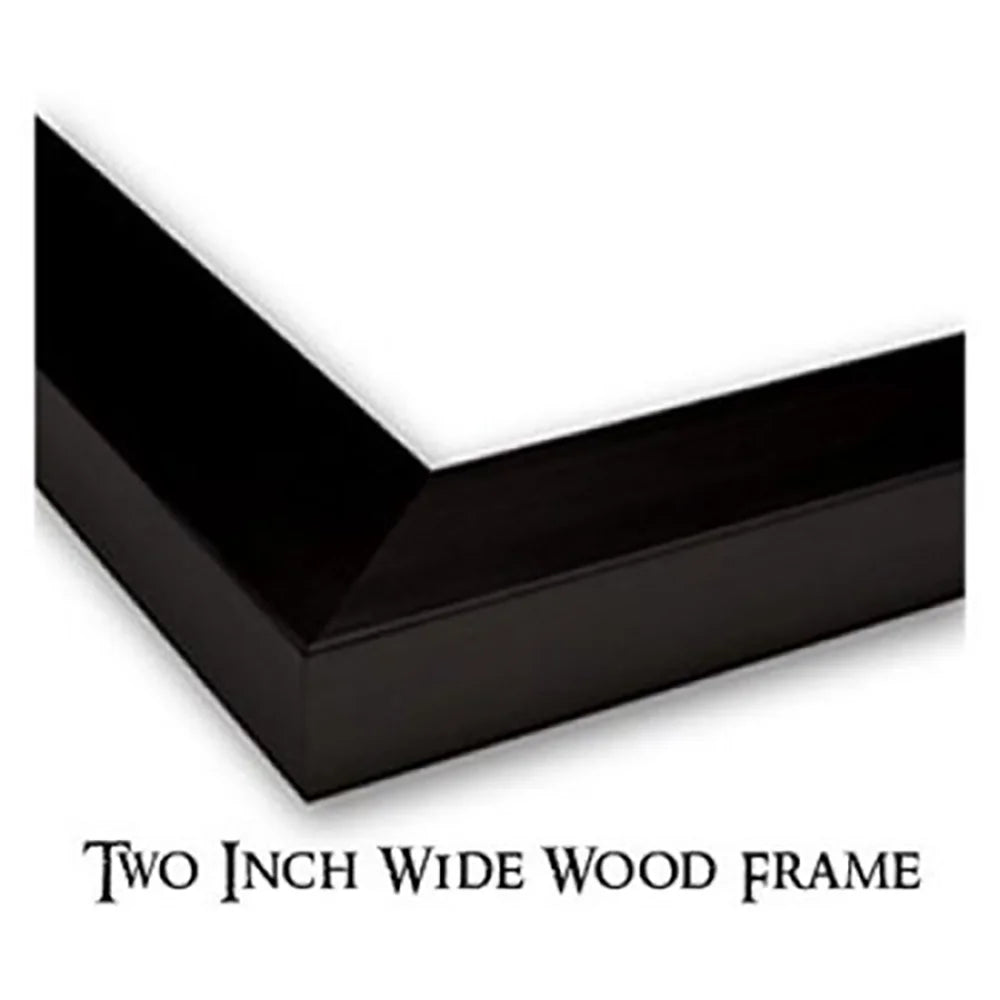 11x14 Black Framed Museum Art Print Y90733