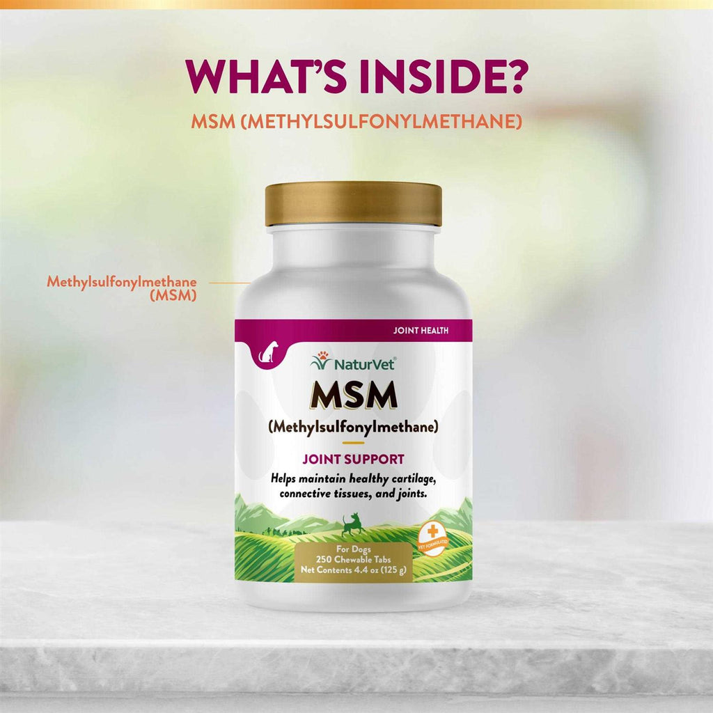 MSM Tablets for Dogs I108936