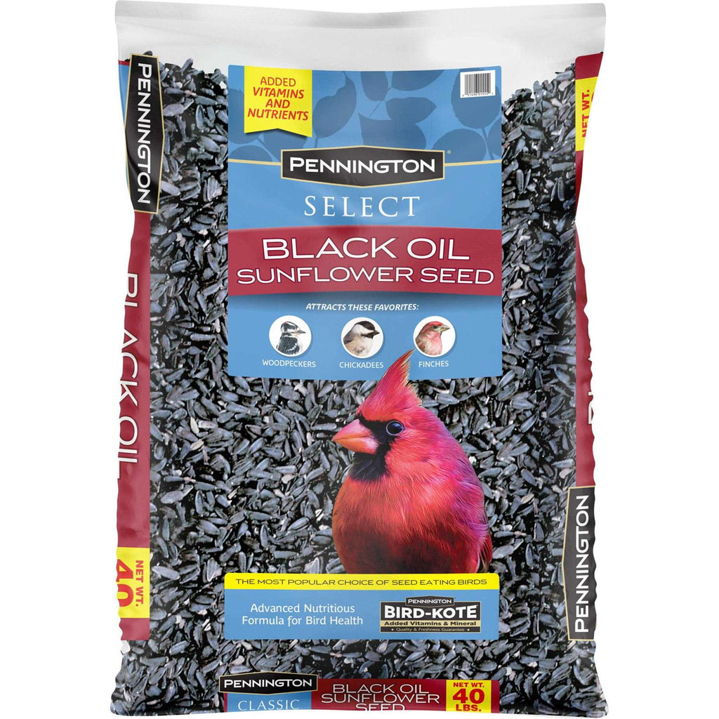 Black Oil Sunflower Seed Wild Bird Feed U976
