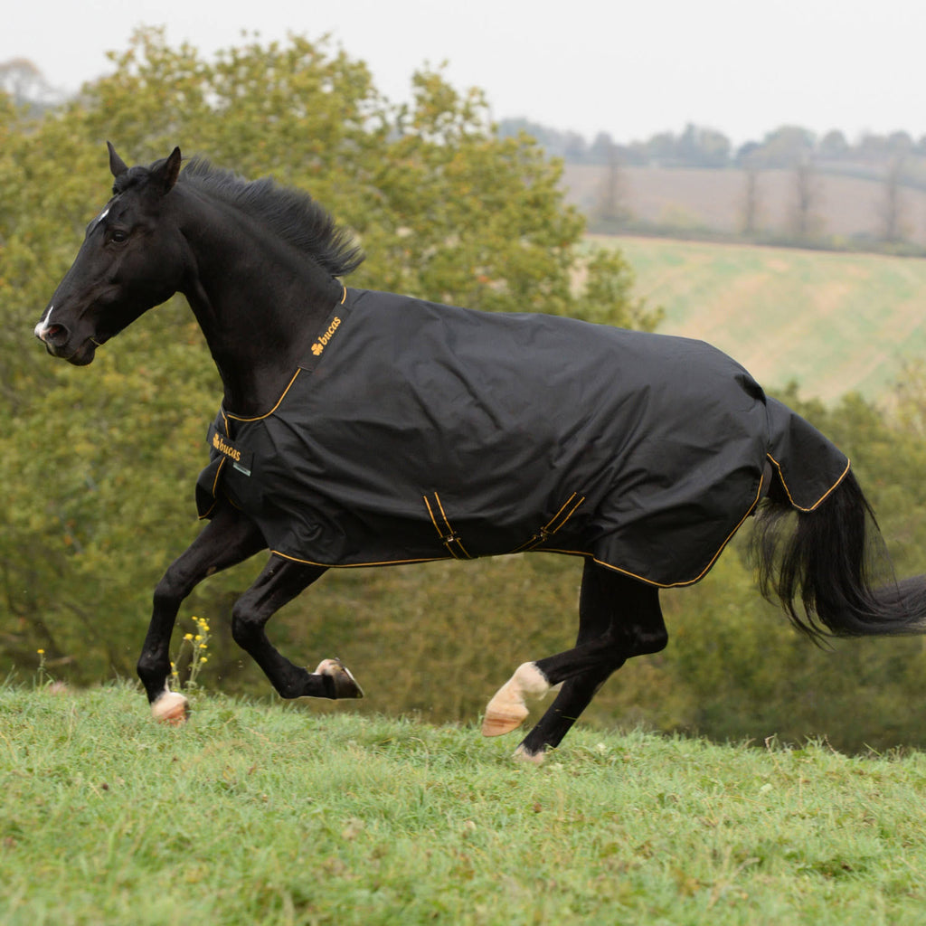 50 Grams 175 Black / Gold Turnout M41743