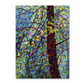 Canvas Art A59586