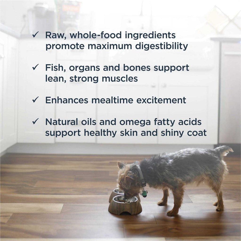 Frozen Raw Dog Food Z167