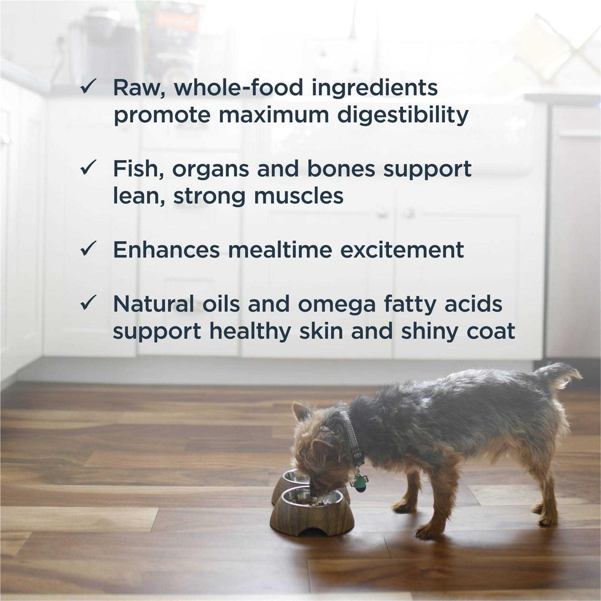 Frozen Raw Dog Food Z167