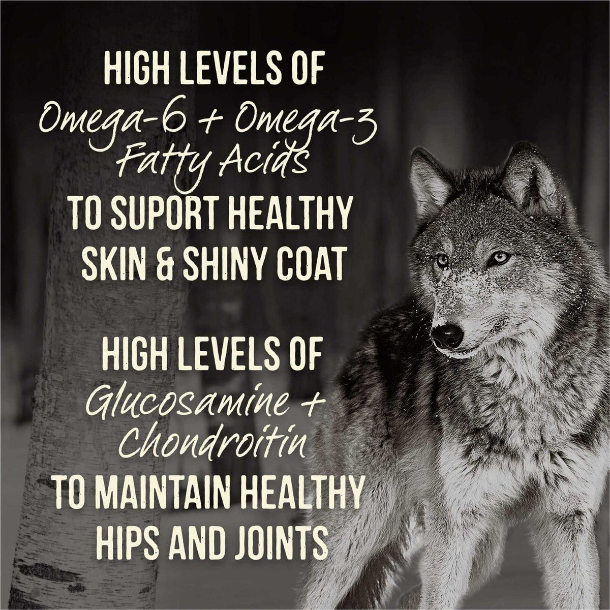 Grain Free Dry Dog Food R1813