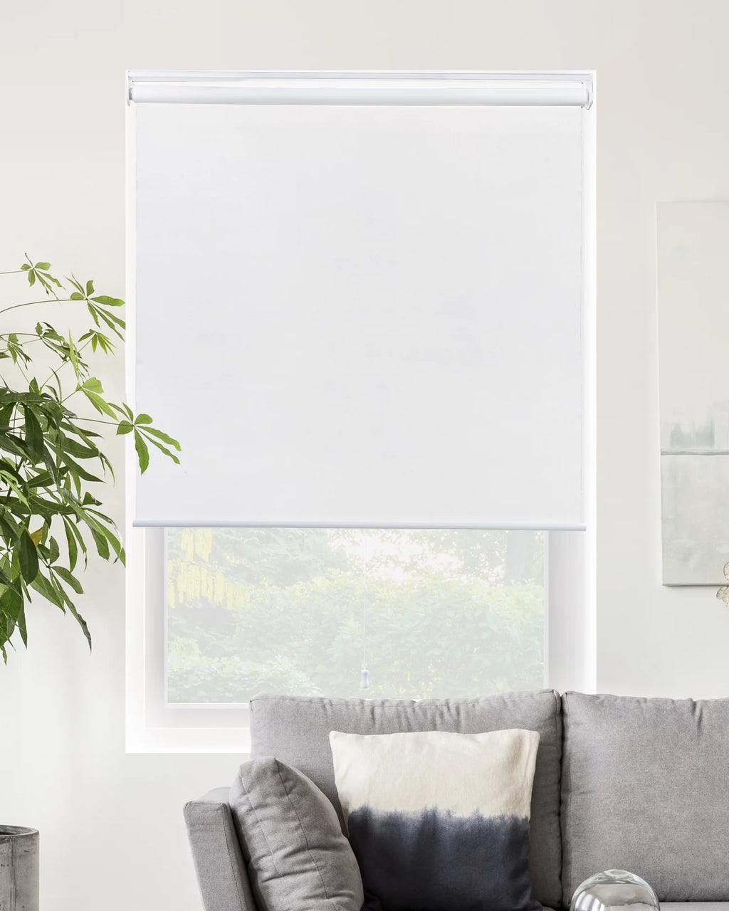Cordless Roller Shade Blackout 23"W X 72"H R455