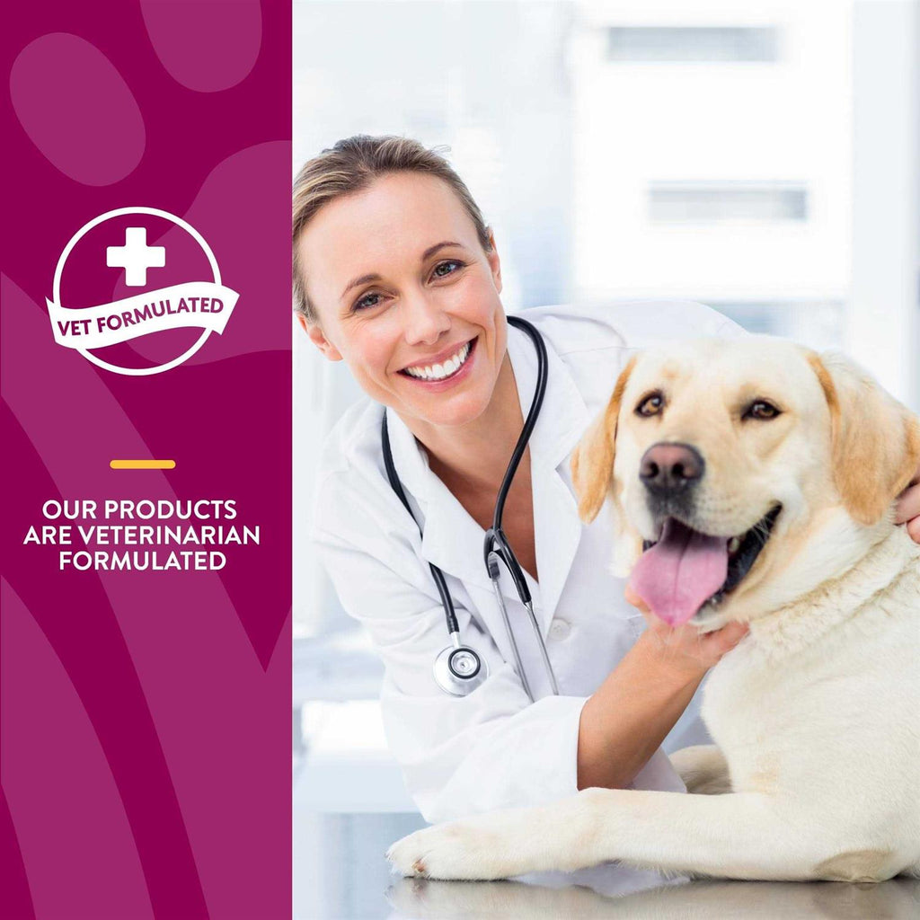 MSM Tablets for Dogs I108936
