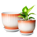 Blue White Ceramic Plant Pots Set of 2 N21452