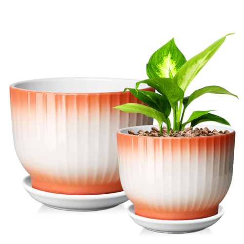 Blue White Ceramic Plant Pots Set of 2 N21452