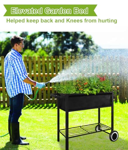 Black Raised Garden Bed with Legs on Wheels B18979