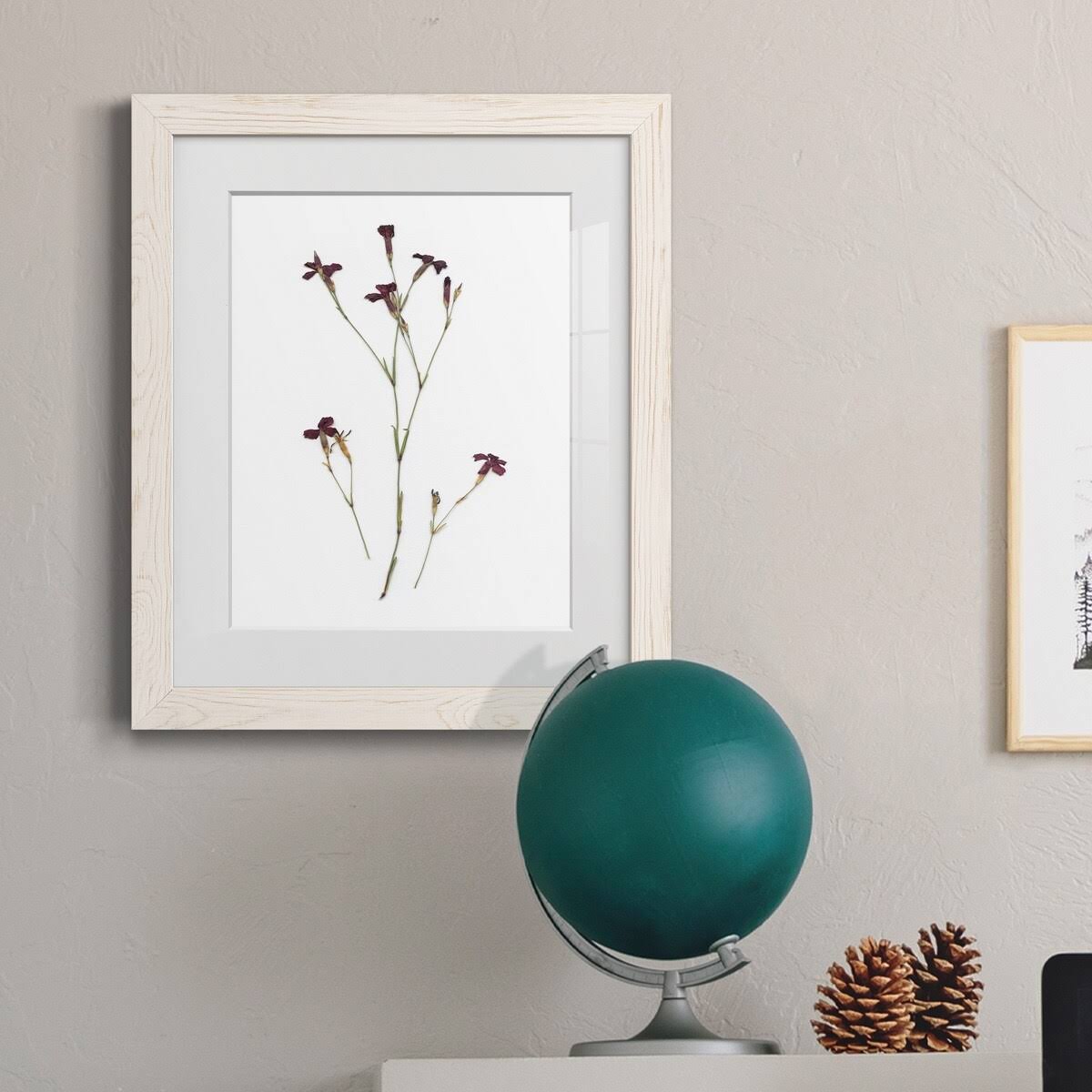Maple Framed Print N4192