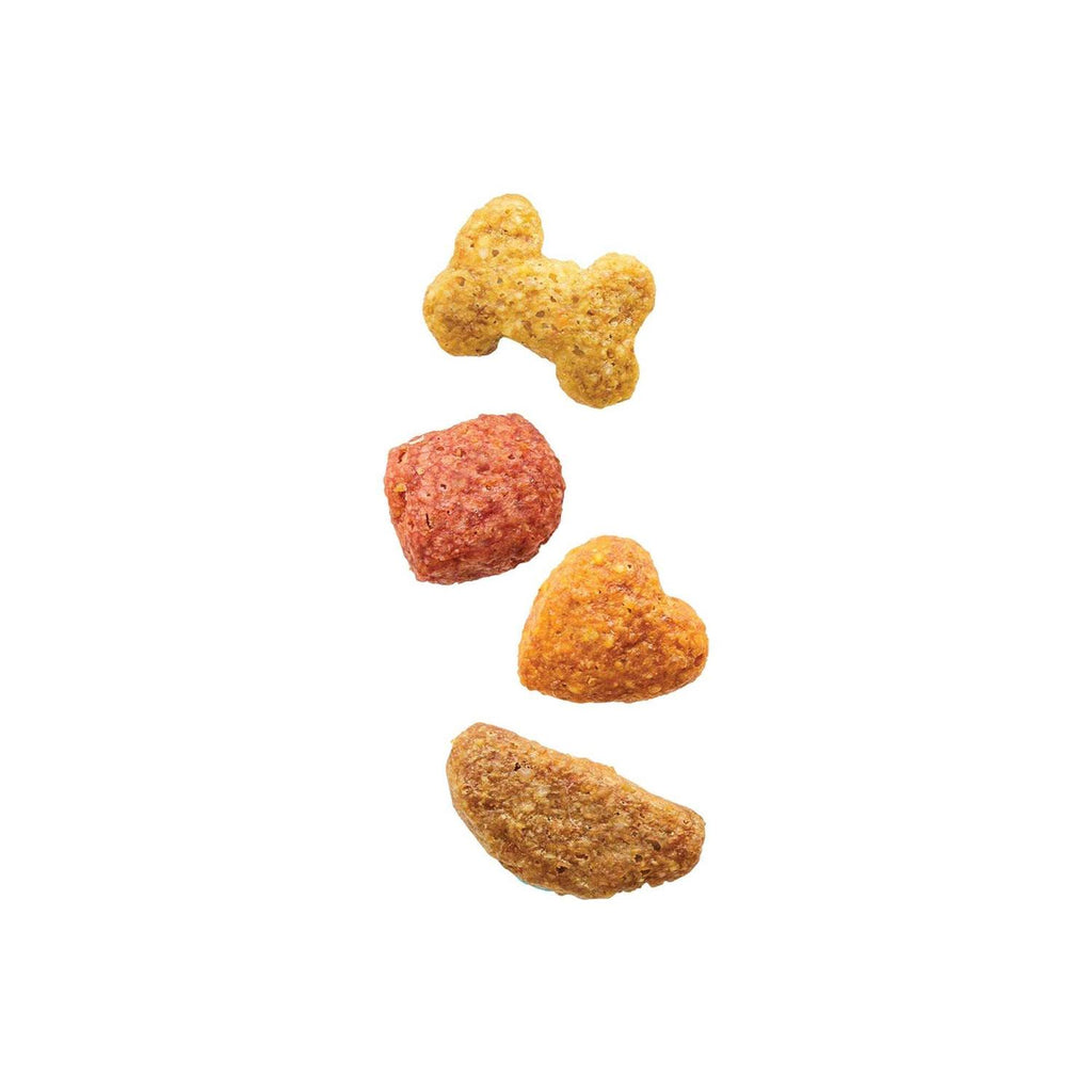 Salmon Dry Dog Food R194