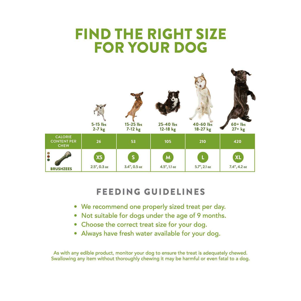 Dental Treats D67834