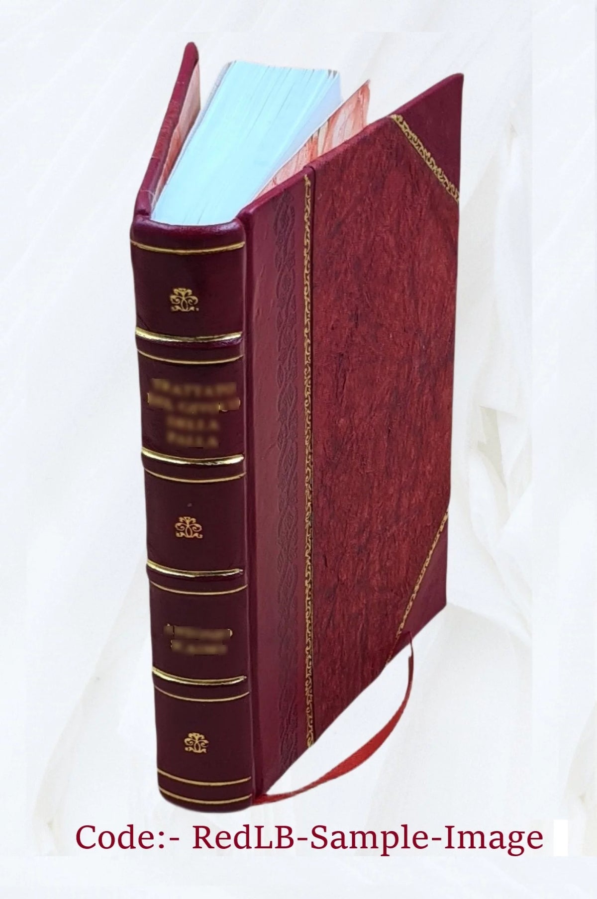 Historical Novel A132636