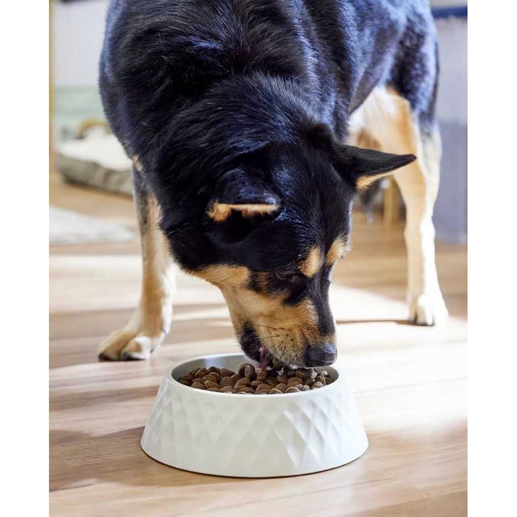 Grain Free Dry Dog Food J1373
