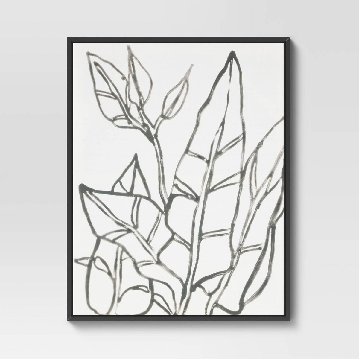 Botanical Sketch Framed Wall Canvas White/Black A973399