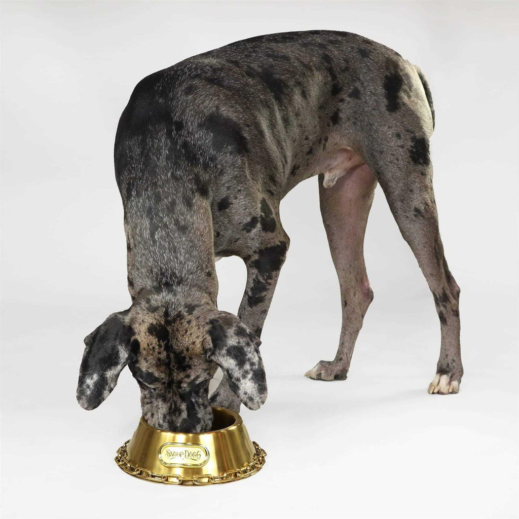 Pet Bowl U4610